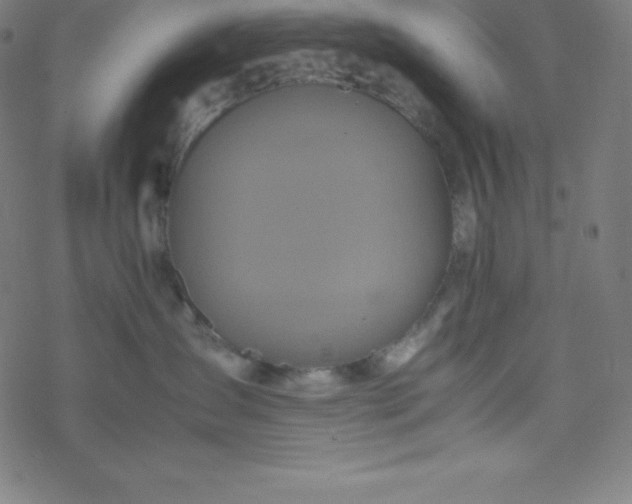 X0000077380431200611031941