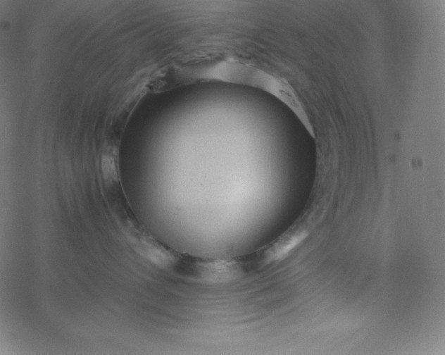 X0000077380432200611031941