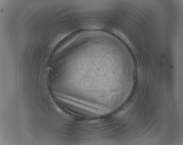 X0000077380433200611031940