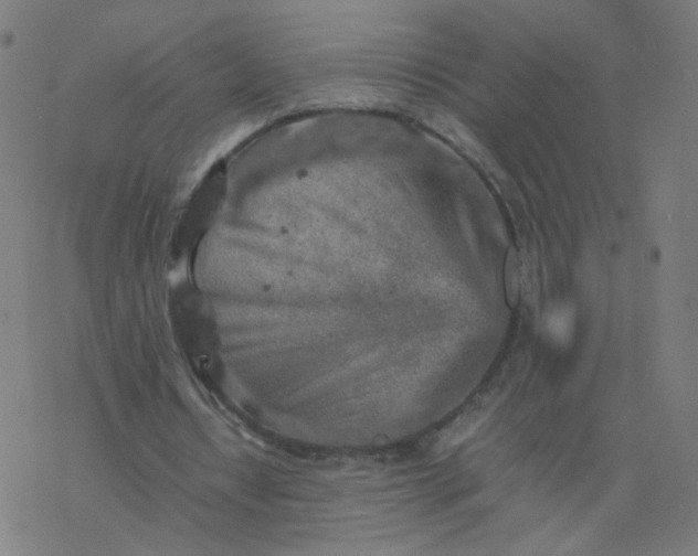 X0000077380434200611031940