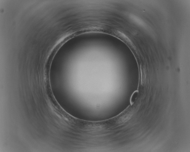 X0000077380435200611031940