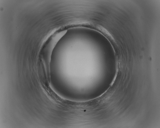 X0000077380436200611031940