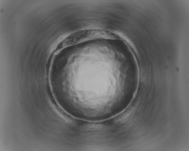 X0000077380437200611031940