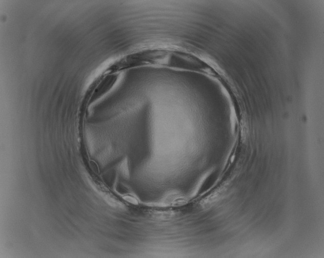 X0000077380438200611031940