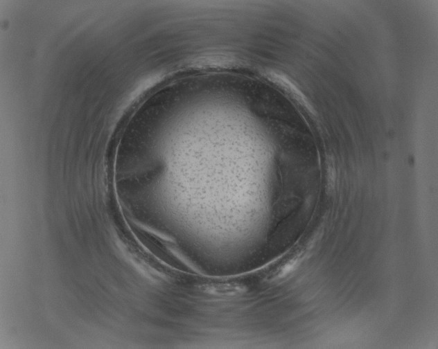 X0000077380439200611031940