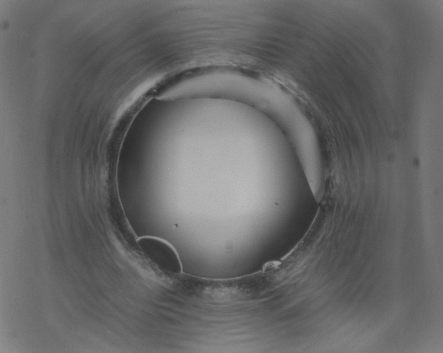 X0000077380440200611031940