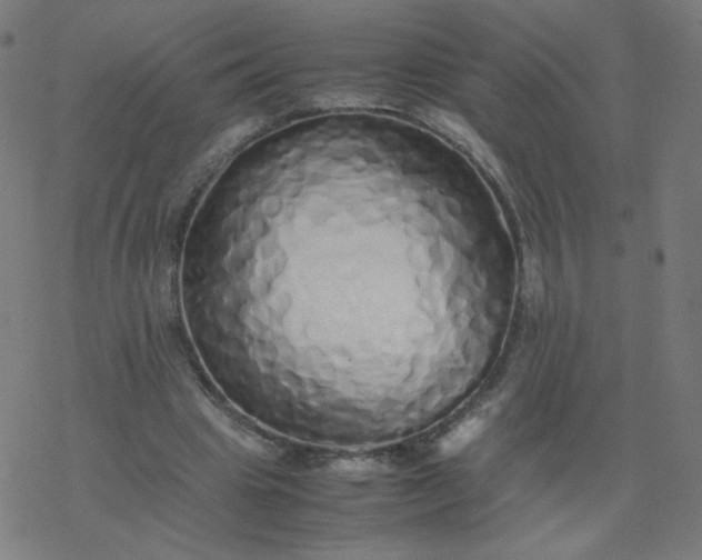 X0000077380441200611031940