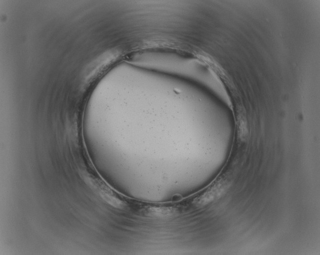 X0000077380442200611031940