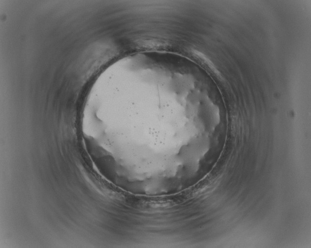 X0000077380443200611031940