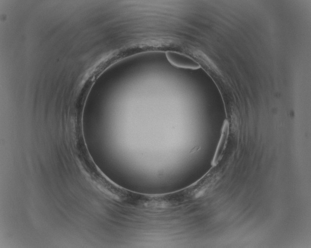 X0000077380444200611031940