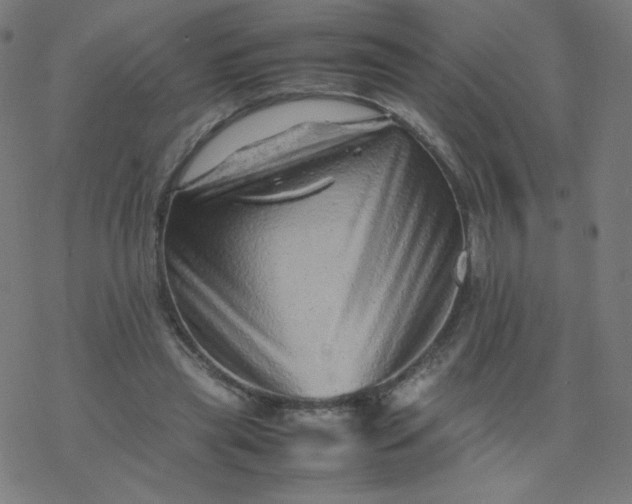 X0000077380445200611031940