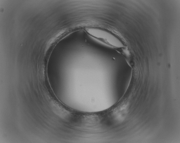 X0000077380446200611031940