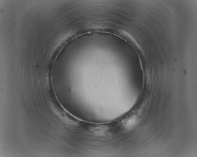 X0000077380447200611031940