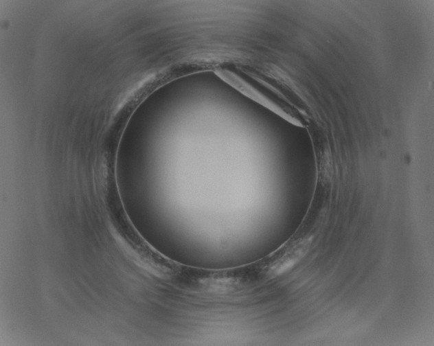 X0000077380448200611031940