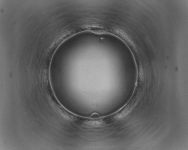 X0000077380449200611031940