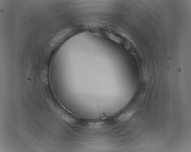 X0000077380450200611031940