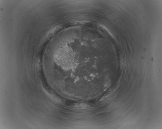 X0000077380451200611031940