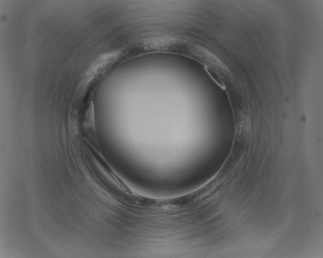 X0000077380452200611031940