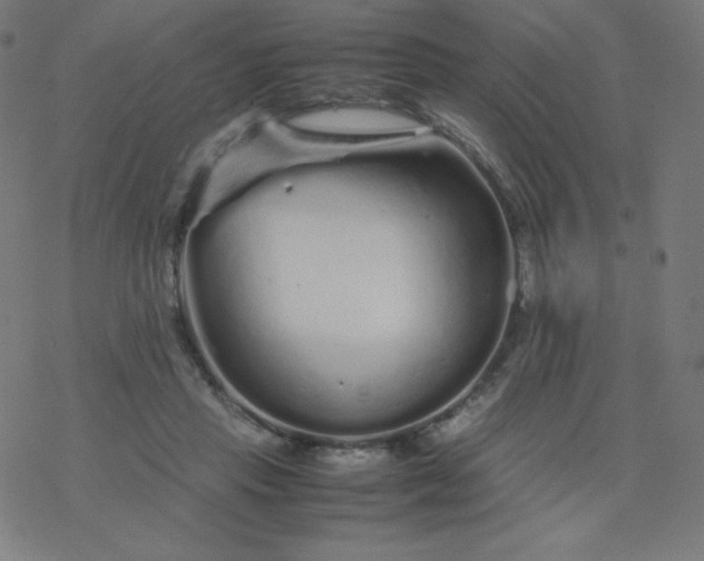 X0000077380453200611031940