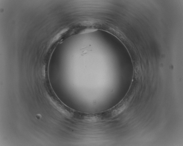 X0000077380454200611031940