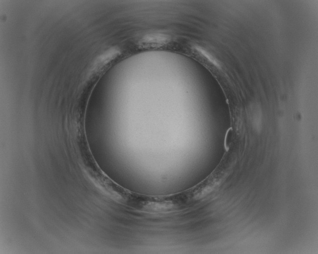 X0000077380455200611031940