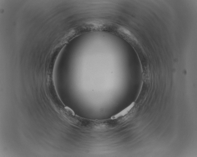 X0000077380456200611031940