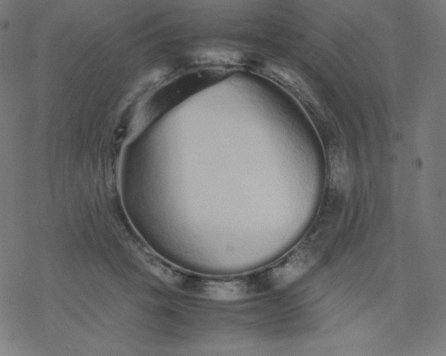 X0000077380457200611031941