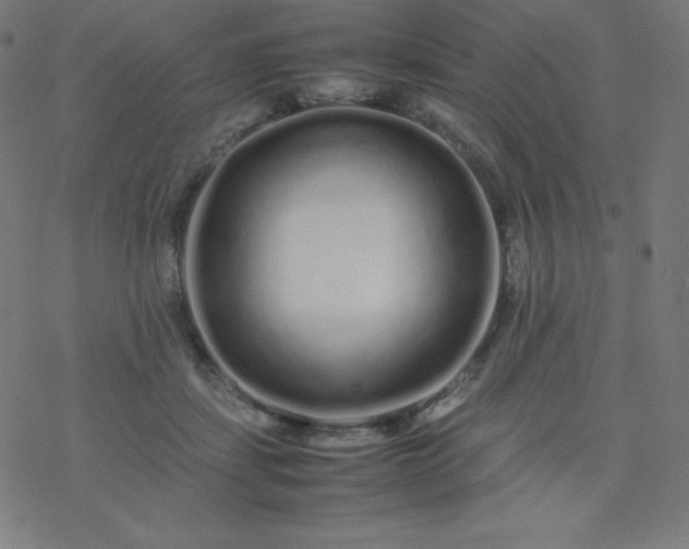 X0000077380459200611031941