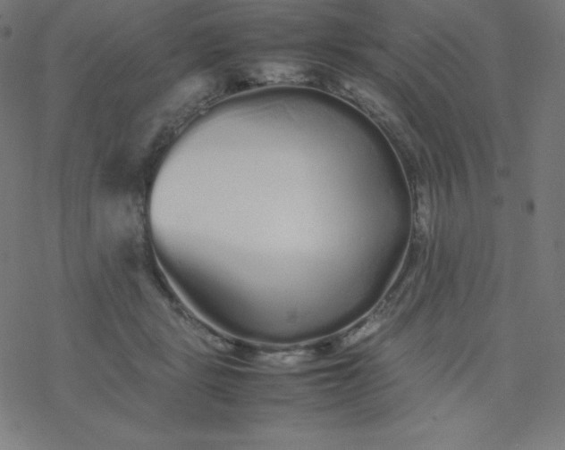 X0000077380461200611031941