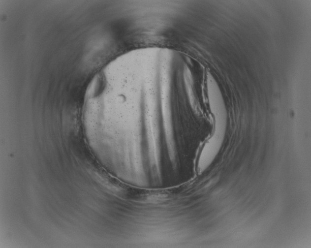 X0000077380462200611031941