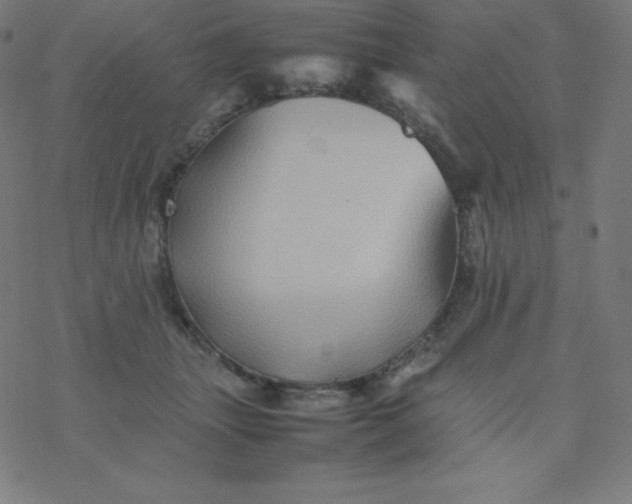 X0000077380463200611031941