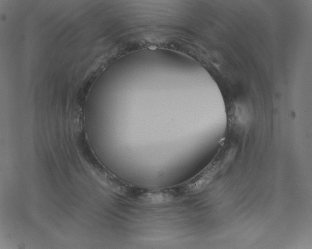 X0000077380464200611031941