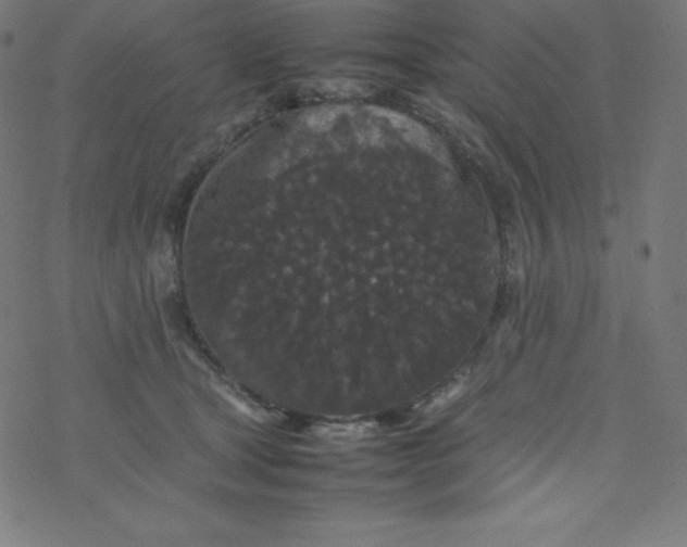 X0000077380465200611031941