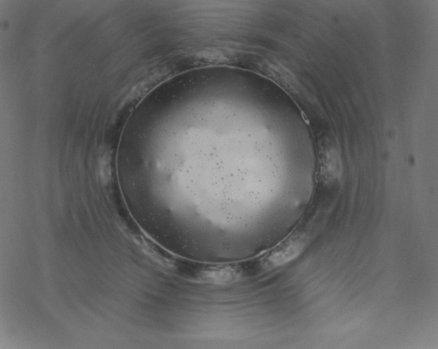 X0000077380466200611031941