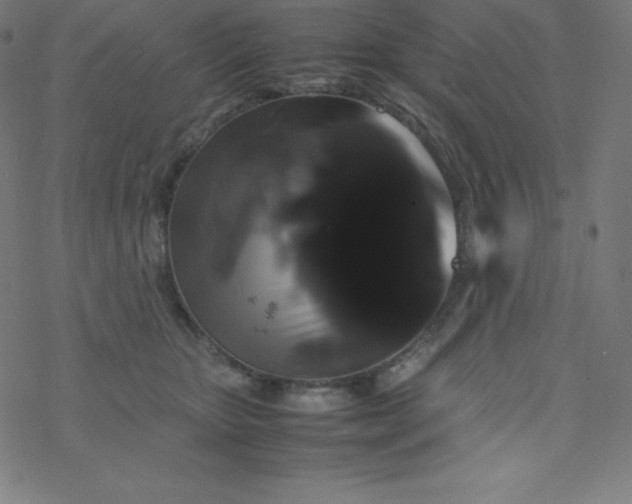 X0000077380467200611031941