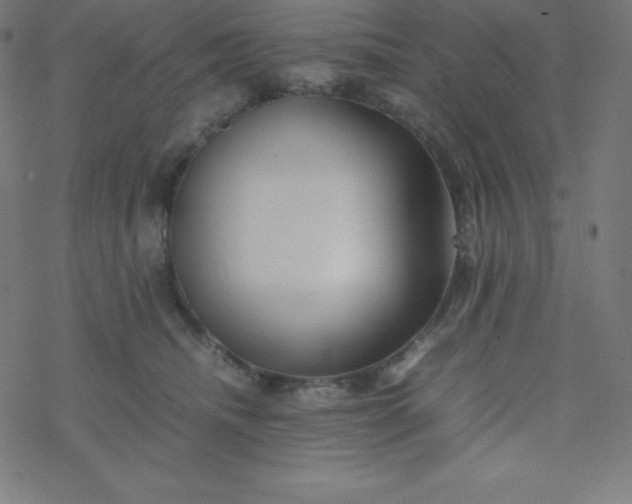 X0000077380468200611031941