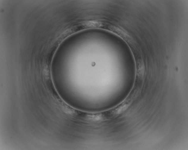 X0000077380469200611031941