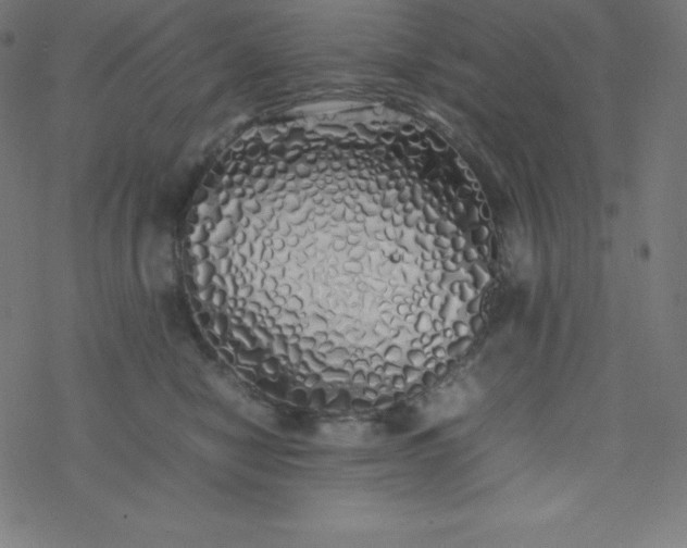 X0000077380470200611031941