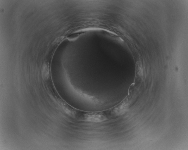 X0000077380471200611031941