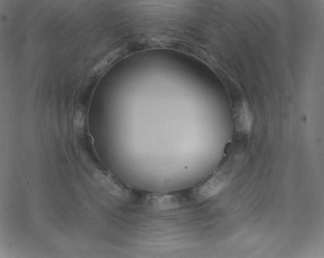 X0000077380472200611031941