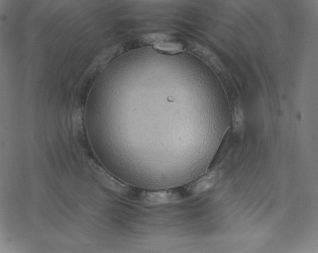 X0000077380473200611031941