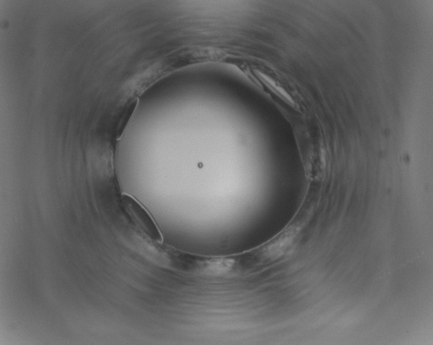 X0000077380474200611031941