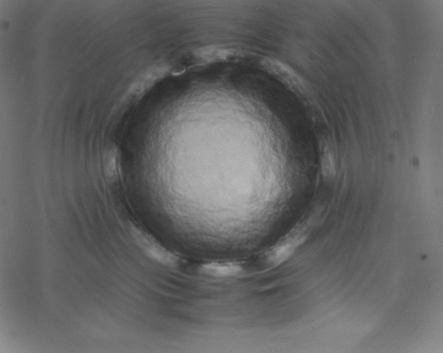 X0000077380477200611031941