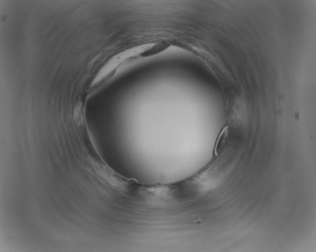 X0000077380478200611031941