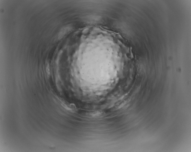 X0000077380479200611031941