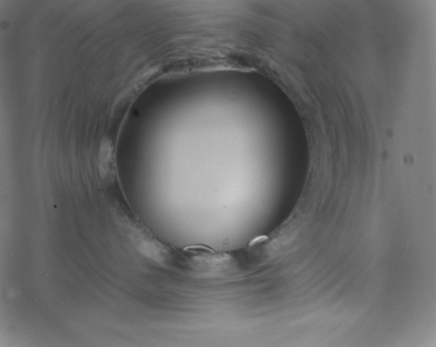 X0000077380480200611031941