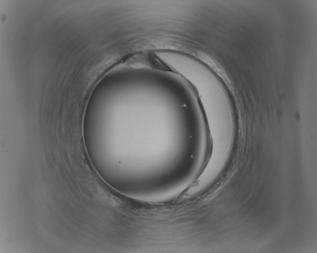 X0000077380481200611031940