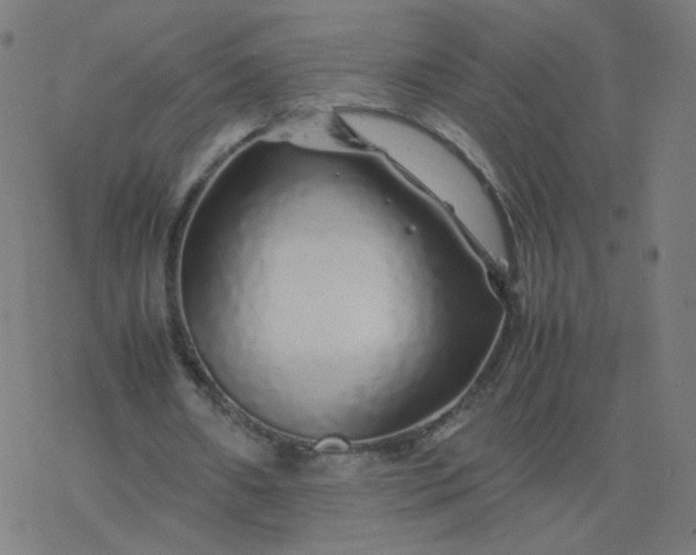 X0000077380482200611031940