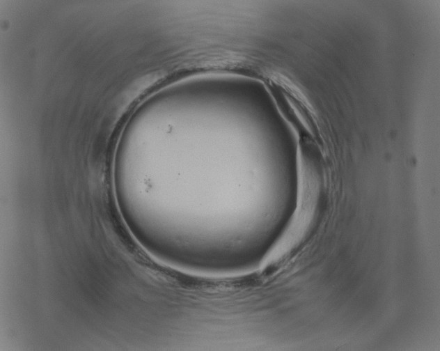 X0000077380483200611031940