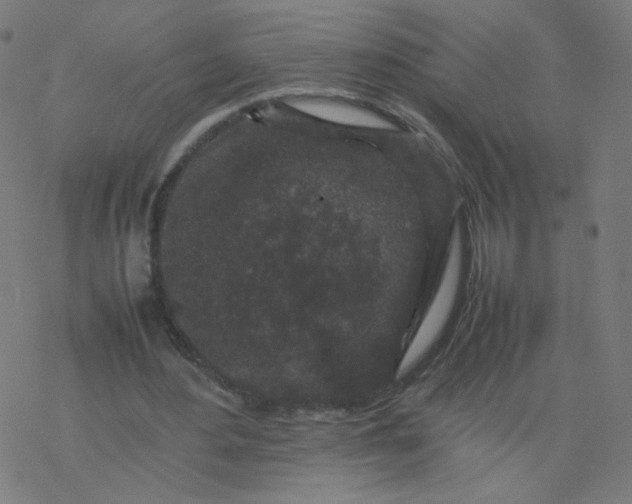 X0000077380484200611031940